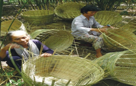 Năm 2010: Tiếp tục hỗ trợ lãi suất phát triển nông nghiệp, nông thôn