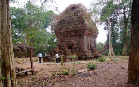 Tháp Chăm giữa rừng xanh