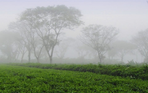 Bình yên phố núi B'Lao