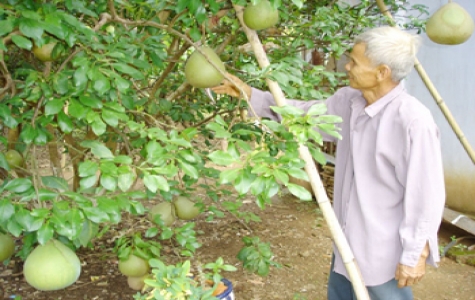 Tuyên dương nông dân điển hình thi đua yêu nước