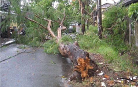 Sạt lở đất gây chết người