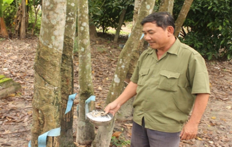 Lão nông hiến đất làm đường