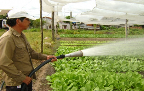 Vật tư nông nghiệp tăng giá: Nông dân càng thêm khó!