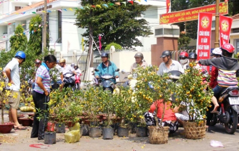 Chợ hoa kiểng ngày 30 tết