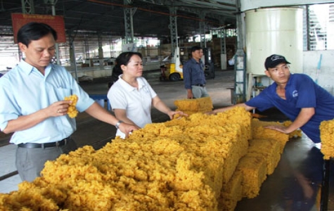 Công ty CP cao su Phước Hòa: Một thương hiệu lớn của ngành cao su Việt Nam