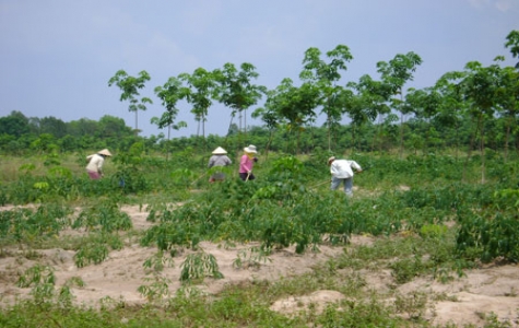 Ưu tiên giải quyết nước sinh hoạt cho người dân