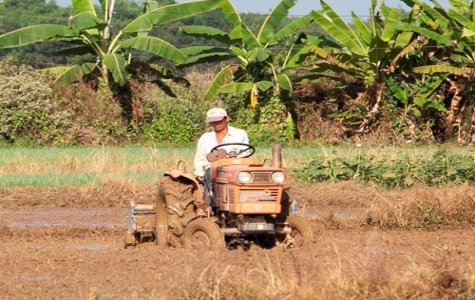 Xây dựng nông thôn mới: Cần phát huy tối đa sức mạnh cộng đồng