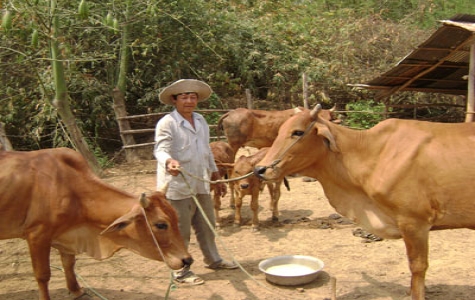 Nông dân Cao Văn Minh: Chính sách xóa nghèo đã giúp gia đình tôi!