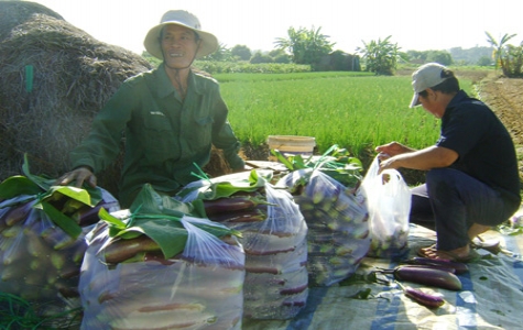 Phát triển nông thôn Bình Dương giai đoạn 2007-2010: Tạo tiền đề cơ bản cho xây dựng nông thôn mới