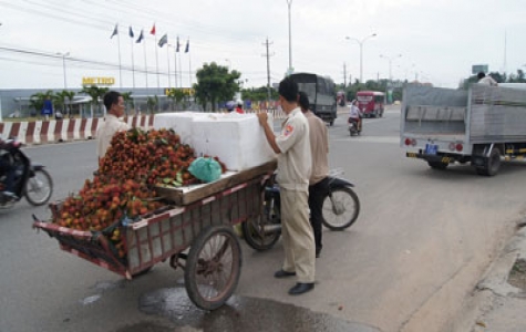 Ra quân giải tỏa “chợ” lấn chiếm lòng đường Quốc lộ 13