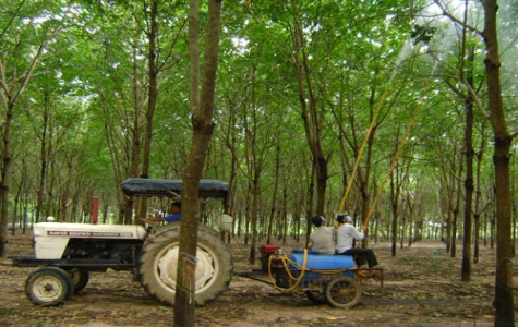 Máy phun thuốc trừ sâu “made in Hai lúa”