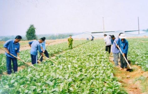 Hành trang quý cho những người lầm lỗi trở về