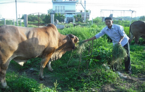 “Môi trường quân đội giúp tôi trưởng thành”