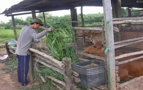 Nâng cao chất lượng đội ngũ cán bộ trẻ