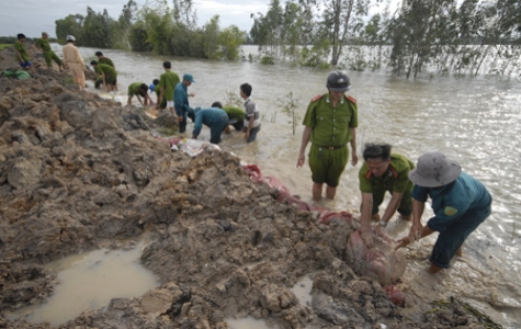 Vỡ nhiều tuyến đê ở Đồng Tháp, An Giang