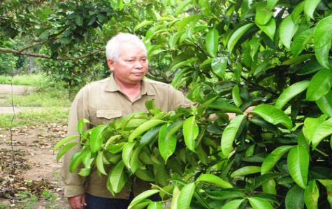 Thành công nhờ “chung tình” với cây khoai mì