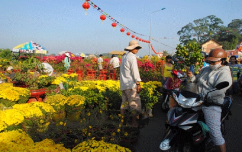 Hoa kiểng chưng tết hút hàng