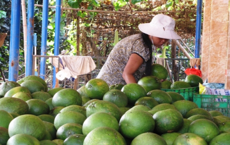 Chế biến nông, lâm, thủy sản ở Bình Dương: Tiềm năng chưa được khai thác