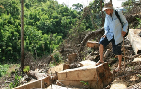 Khánh Hòa: Đình chỉ công tác Trưởng Công an huyện Khánh Sơn