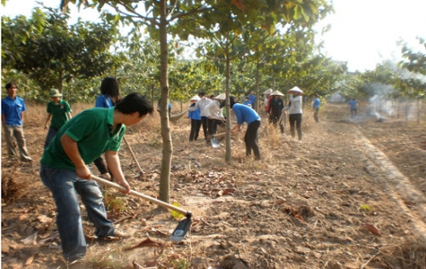 Vườn cây nhớ ơn Bác