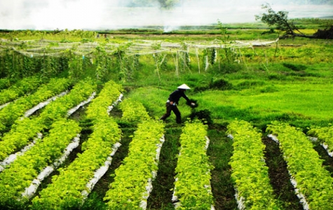 Bảo tồn và phát huy giá trị khu di tích lịch sử Chiến khu Đ: Phát huy giá trị truyền thống, tạo điểm nhấn du lịch