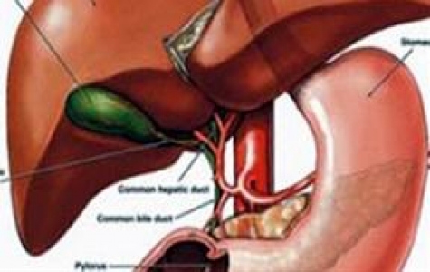 Hiện trạng bệnh viêm gan nghiêm trọng hơn dự báo