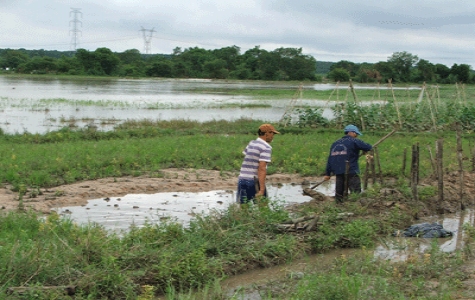 Xã Tân Hiệp (Tân Uyên) nỗ lực khắc phục thiệt hại do lũ