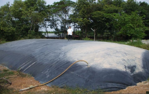 BIOGAS:  Nguồn năng lượng chưa khai thác tốt