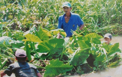 Hội Nông dân Bình Dương: Chung tay bảo vệ môi trường