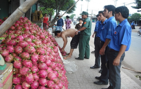 Hưởng ứng năm an toàn giao thông 2012: Công tác tuyên truyền được chú trọng