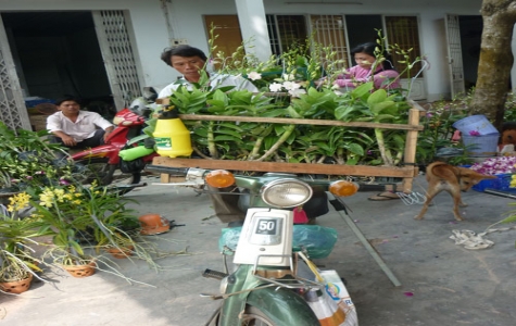 Làm nông nghiệp - thu bạc tỷ không khó