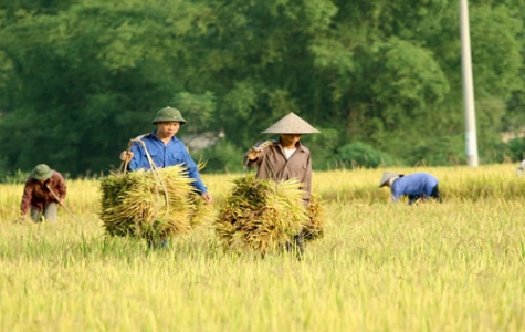 "Chìa khóa" để đảm bảo an ninh lương thực