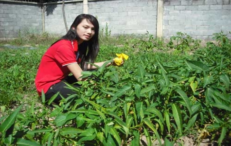 Hội thi thanh niên công nhân kể chuyện Bác Hồ: Tạo phong trào thi đua, học tập làm theo gương Bác