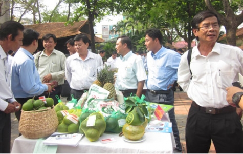 Hàng Việt soán ngôi hàng ngoại trong Tết Qúy Tỵ