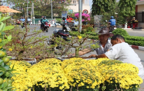 Vắng khách mua hoa tết