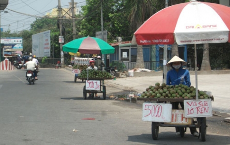 Bám đường mưu sinh!