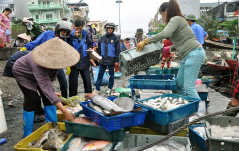 Hiệu quả từ khai thác thủy sản