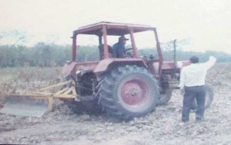 Hợp tác xã sản xuất nông nghiệp Thanh Tân (Dầu Tiếng): Hiệu quả từ một hướng đi…