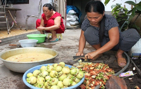 Vườn cây ăn trái Lái Thiêu, một định danh du lịch độc đáo