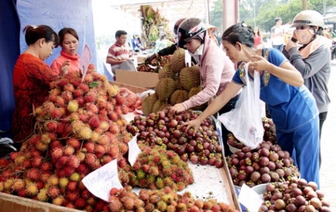 Vườn cây ăn trái Lái Thiêu, một định danh du lịch độc đáo