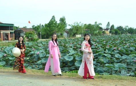 Lại một mùa sen nở!