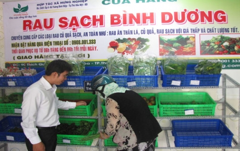 Kinh doanh nông sản sạch: Hướng đi mới, hứa hẹn hiệu quả