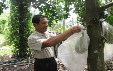 Nông dân Lê Văn Xuân: Thành công bằng mô hình nông nghiệp tổng hợp