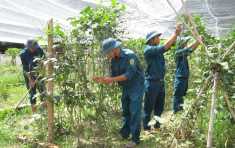 Ban Chỉ huy quân sự xã Long Nguyên (Bến Cát): Làm tốt công tác phát triển Đảng