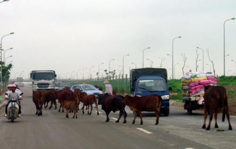 Đừng để những vụ tai nạn giao thông đau lòng tiếp diễn!