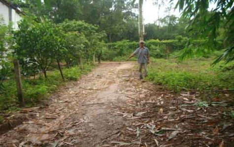 Vụ khiếu nại của ông Nguyễn Quang Vinh (Xã Khánh Bình, huyện Tân Uyên): “Chính quyền địa phương đã giải quyết đúng luật”