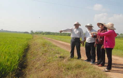 Sản xuất nông nghiệp theo hướng VietGap: Nhiều nông dân vẫn rất mặn với “tình ca cây lúa”…