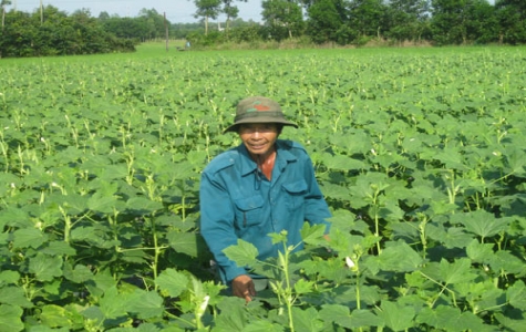 Nông dân phường Tân Bình (TX.Dĩ An):  Đẩy mạnh phong trào  sản xuất - kinh doanh giỏi