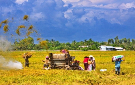 Cần Thơ dẫn đầu ĐBSCL về thu nhập bình quân đầu người