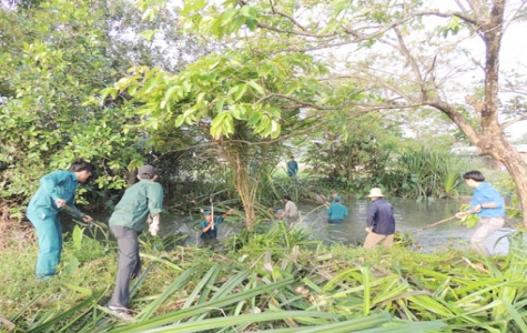 Tân Uyên: Phát động và ra quân thực hiện vớt lục bình, khai thông dòng chảy các kênh, rạch, sông, suối